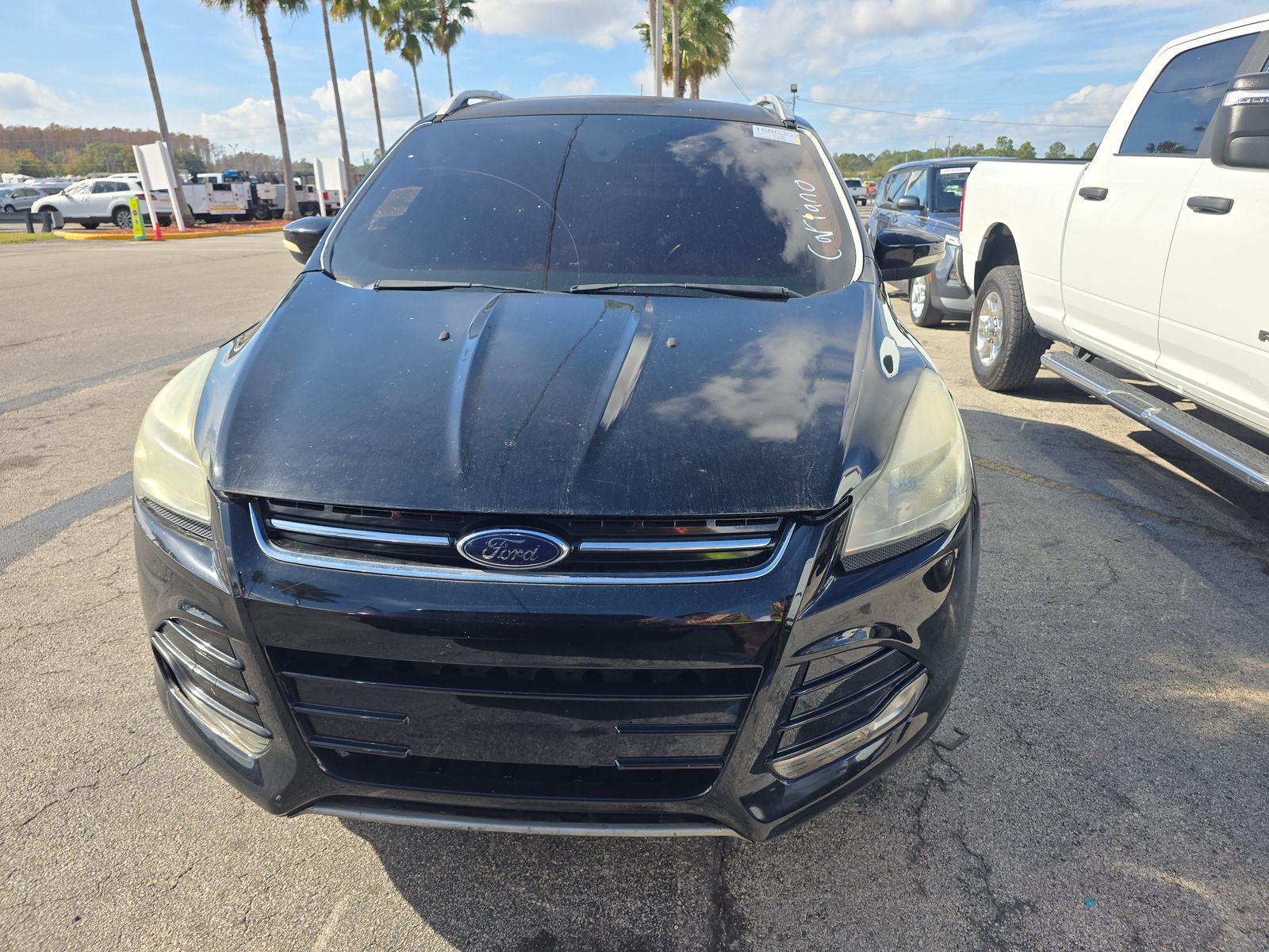 Ford Escape 2016 — photo 2