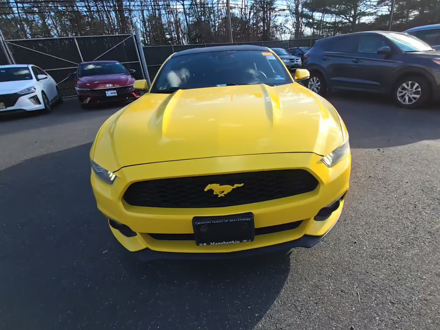 Ford Mustang 2015 — photo 2