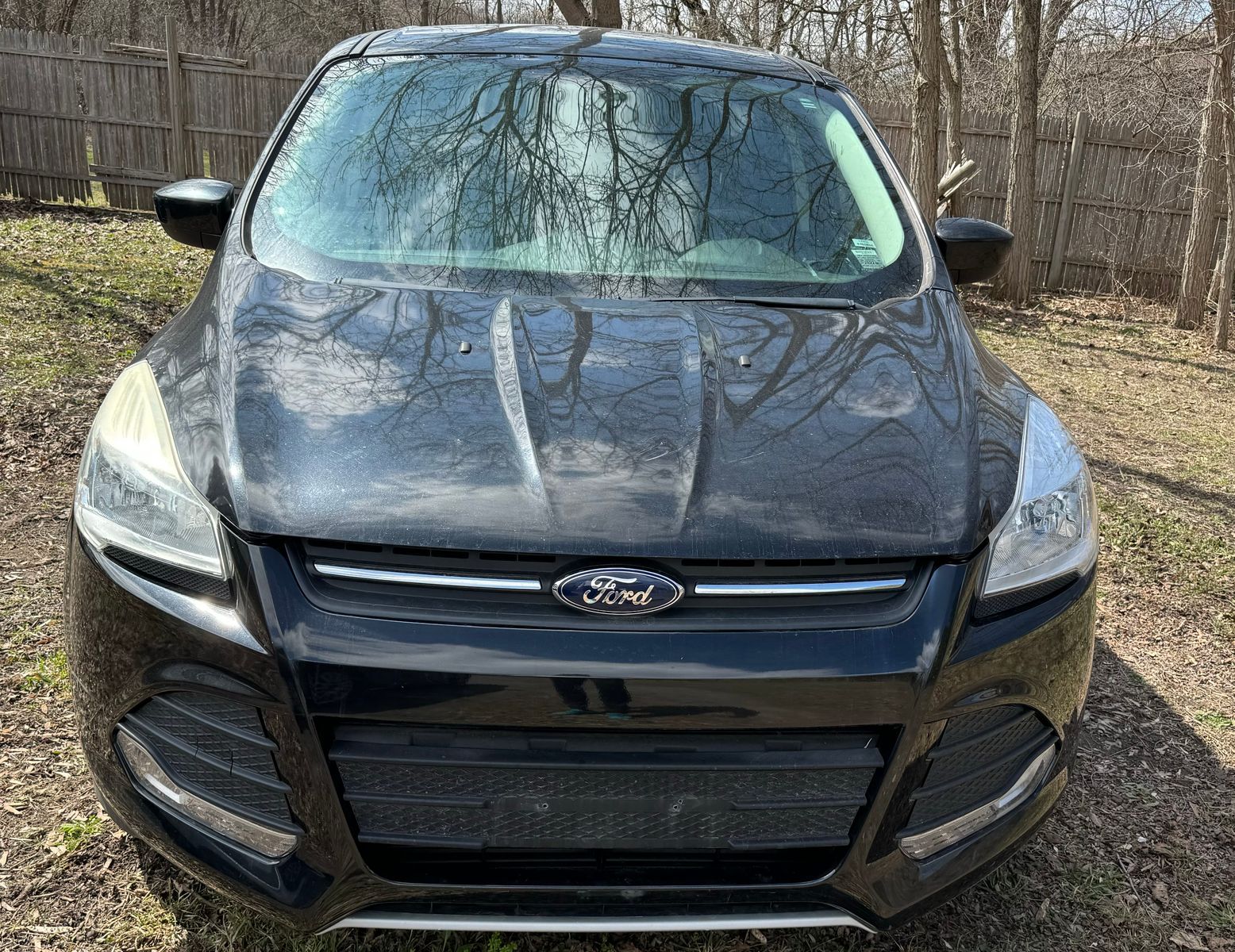 Ford Escape 2014 — photo 2