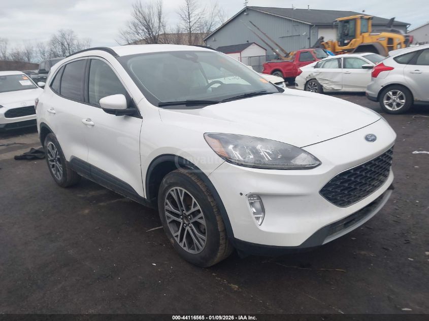 Ford Escape