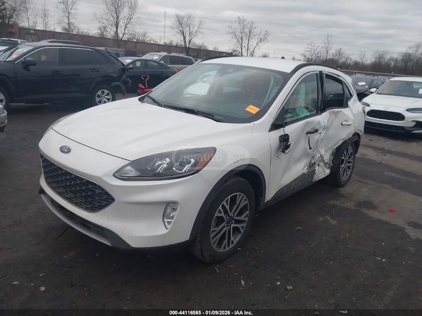 Ford Escape 2020 — photo 2