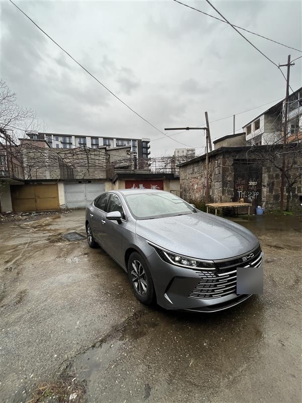 BYD Destroyer 05 2024 — photo 2