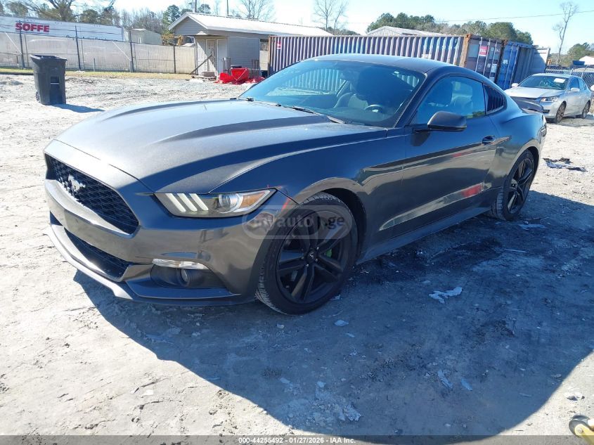Ford Mustang 2015 — photo 2