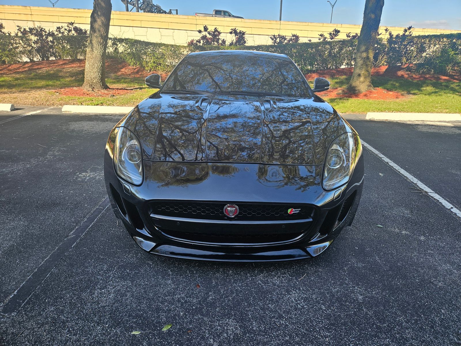 Jaguar F-TYPE 2017 — photo 2