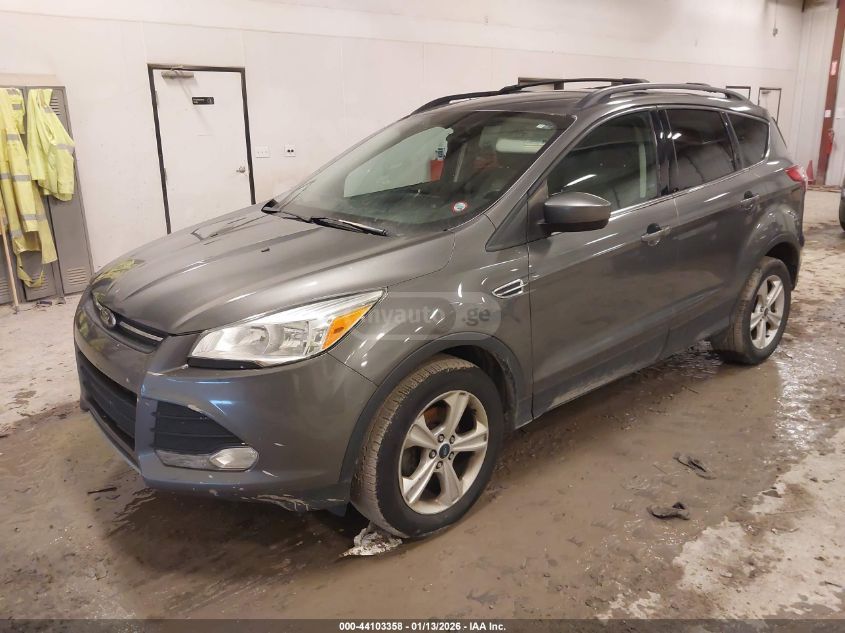 Ford Escape