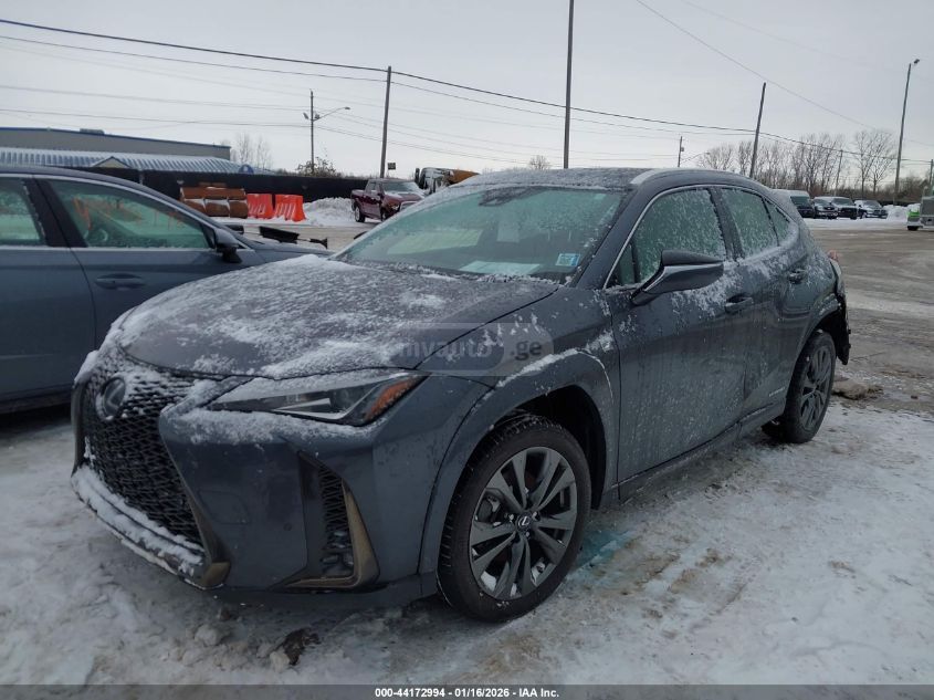 Lexus UX 250 h 2022 — photo 2