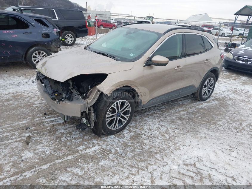 Ford Escape 2020 — photo 2
