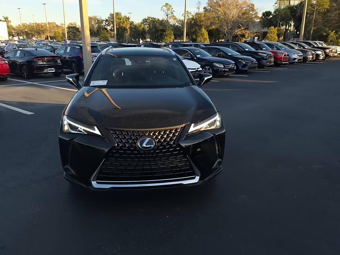 Lexus UX 250 h 2022 — photo 2