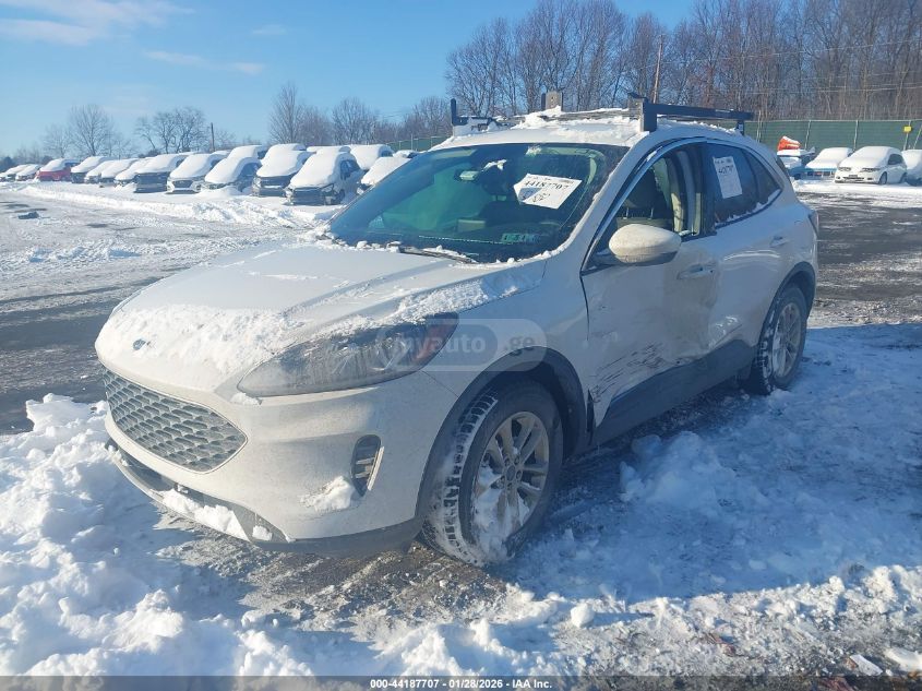 Ford Escape 2020 — photo 2