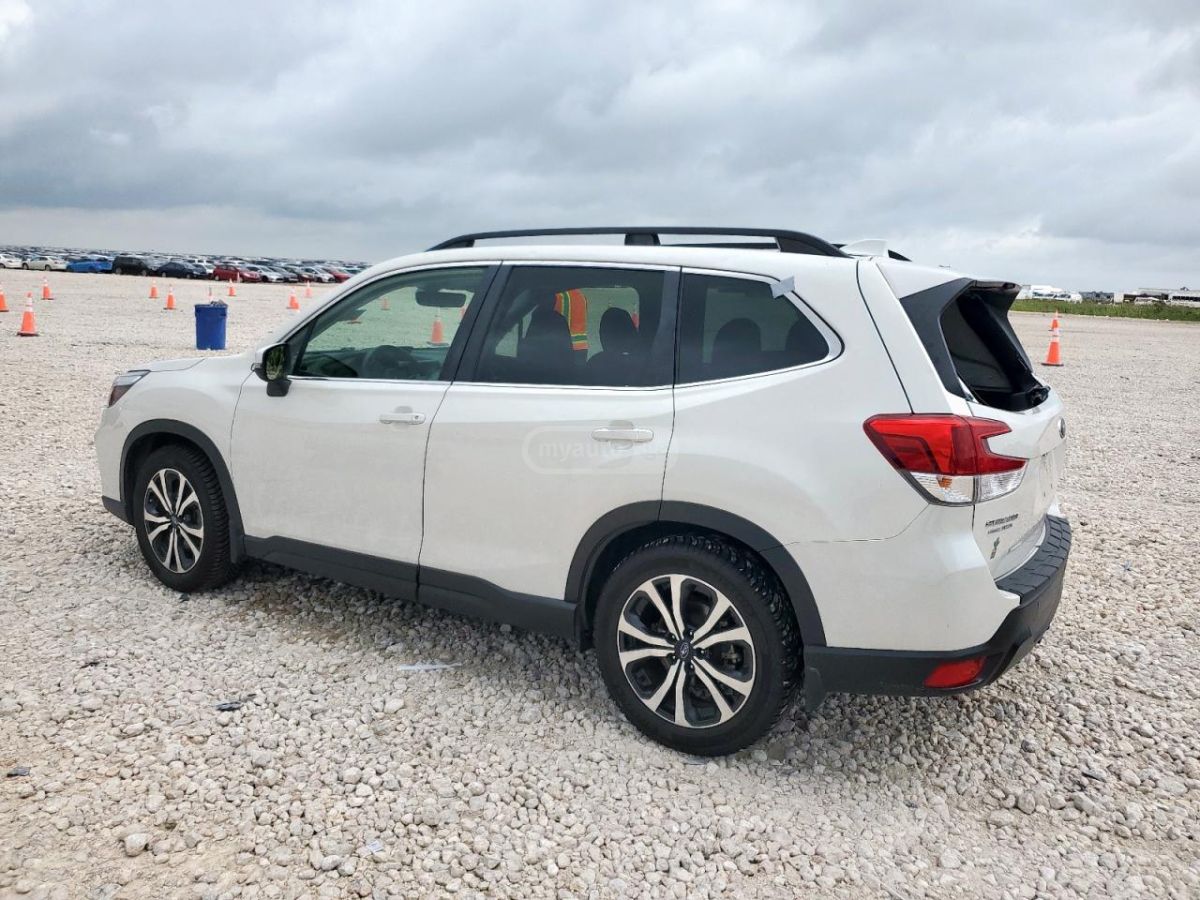 Subaru Forester 2020 — photo 2