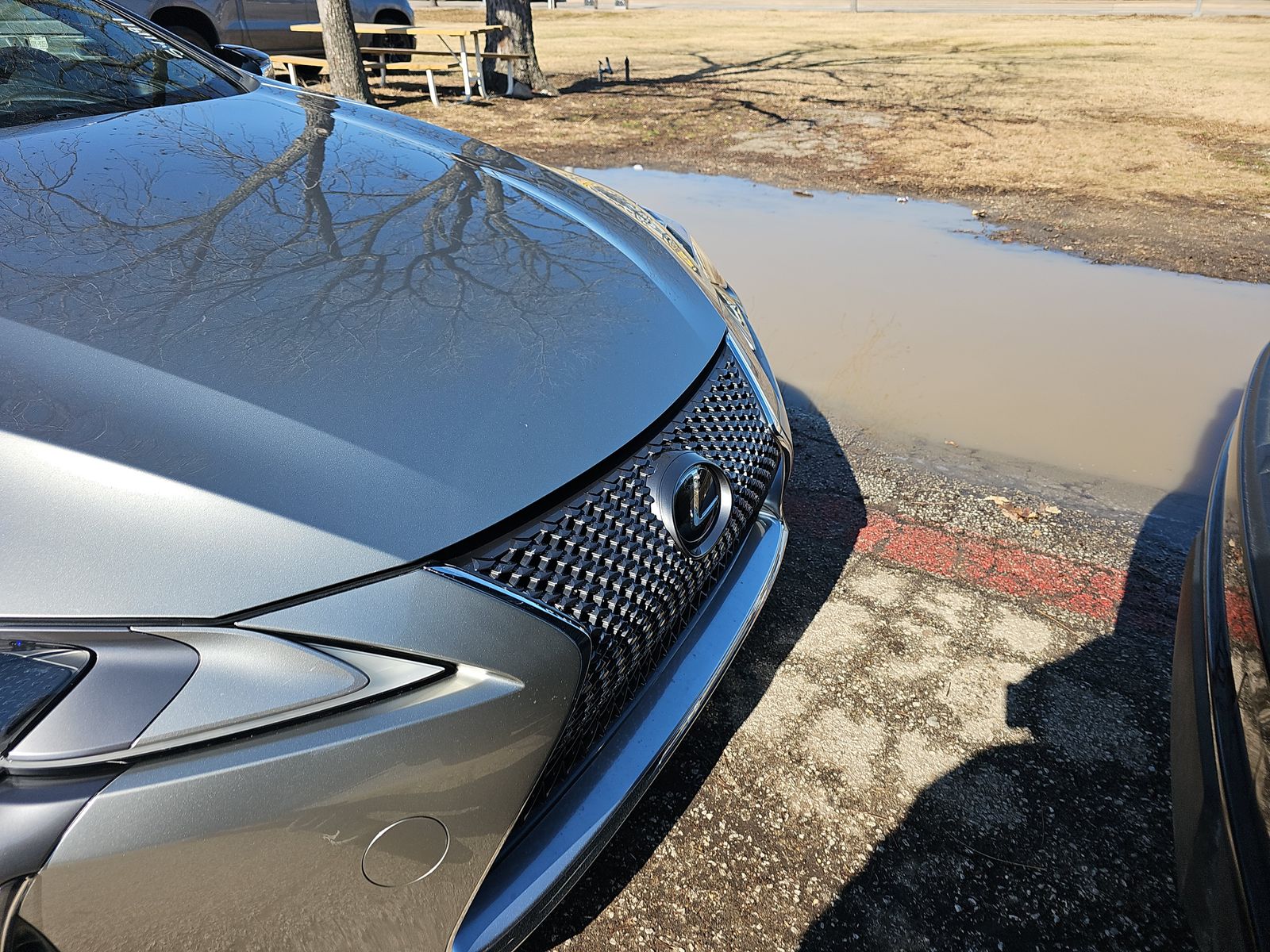 Lexus LC 500 2018 — photo 2