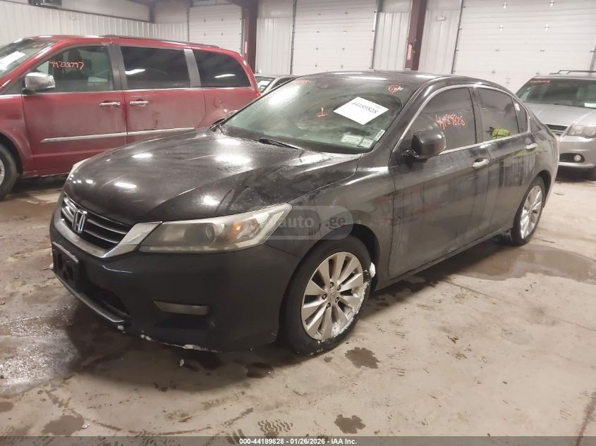 Honda Accord 2015 — photo 2