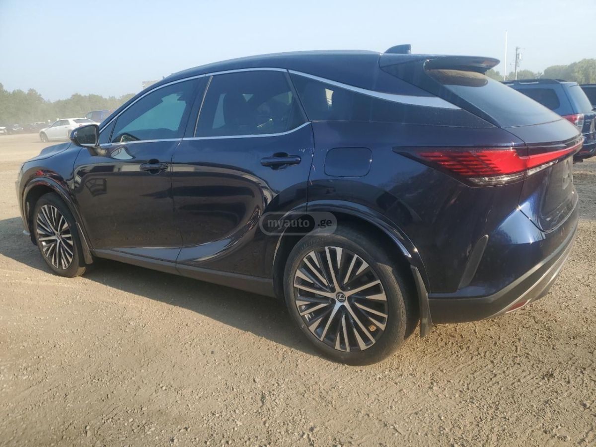 Lexus RX 300 2023 — photo 2