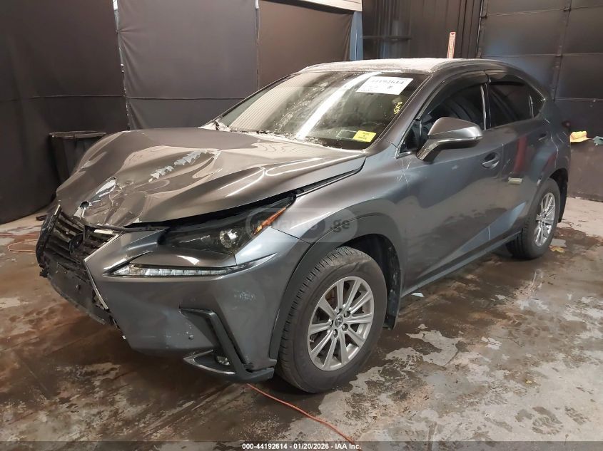 Lexus NX 300 2018 — photo 2