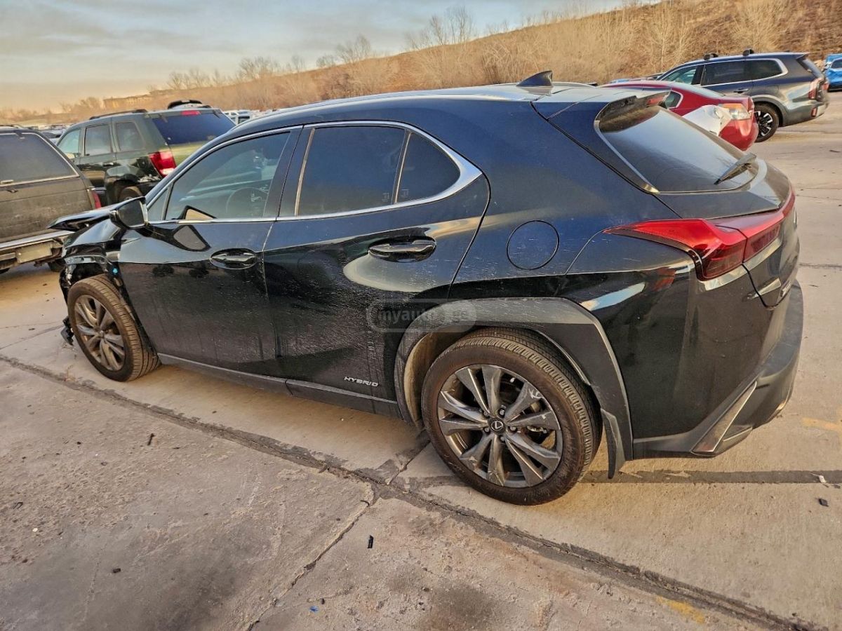 Lexus UX 250 h 2019 — photo 2