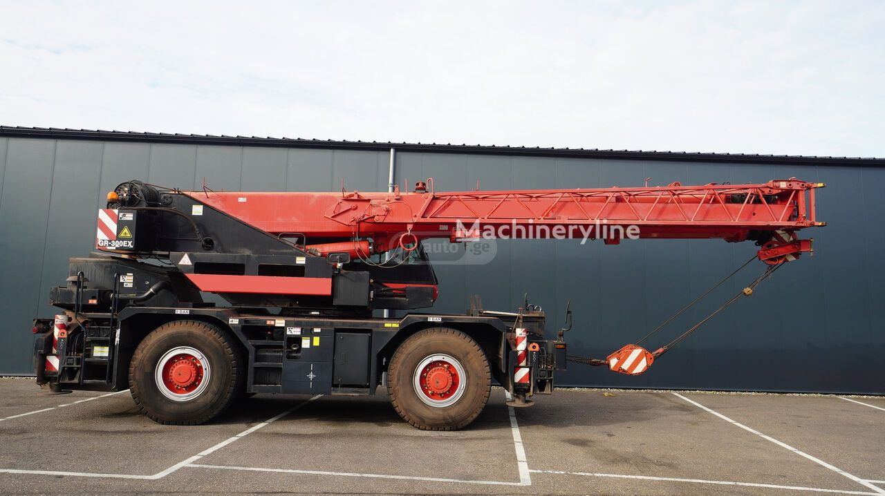 Tadano GR-1000EX-3 2016 — photo 2