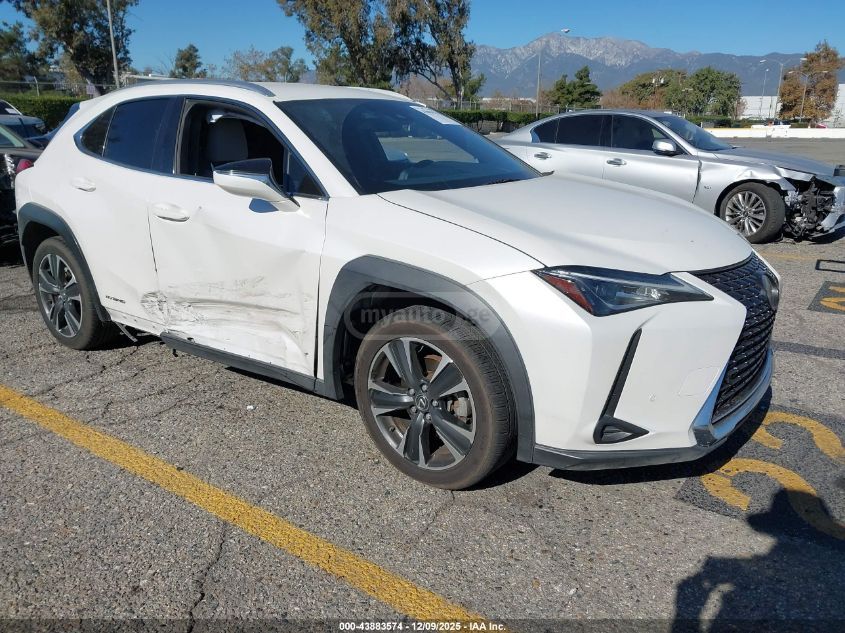Lexus UX 250 h