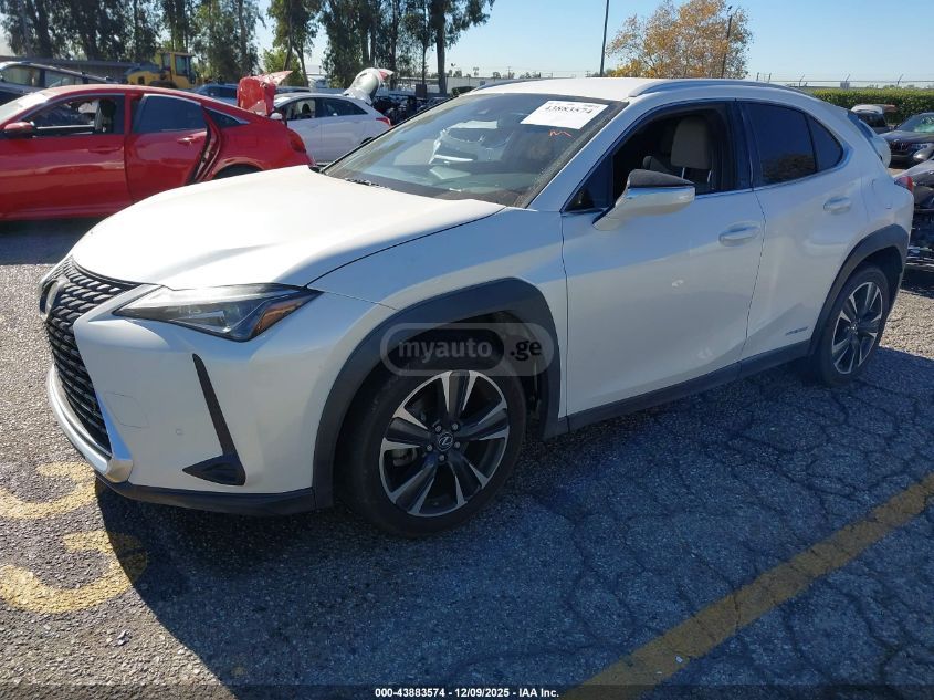Lexus UX 250 h 2021 — photo 2
