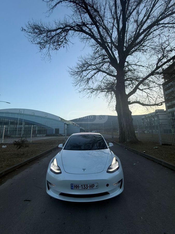 Tesla Model 3 2020 — photo 2