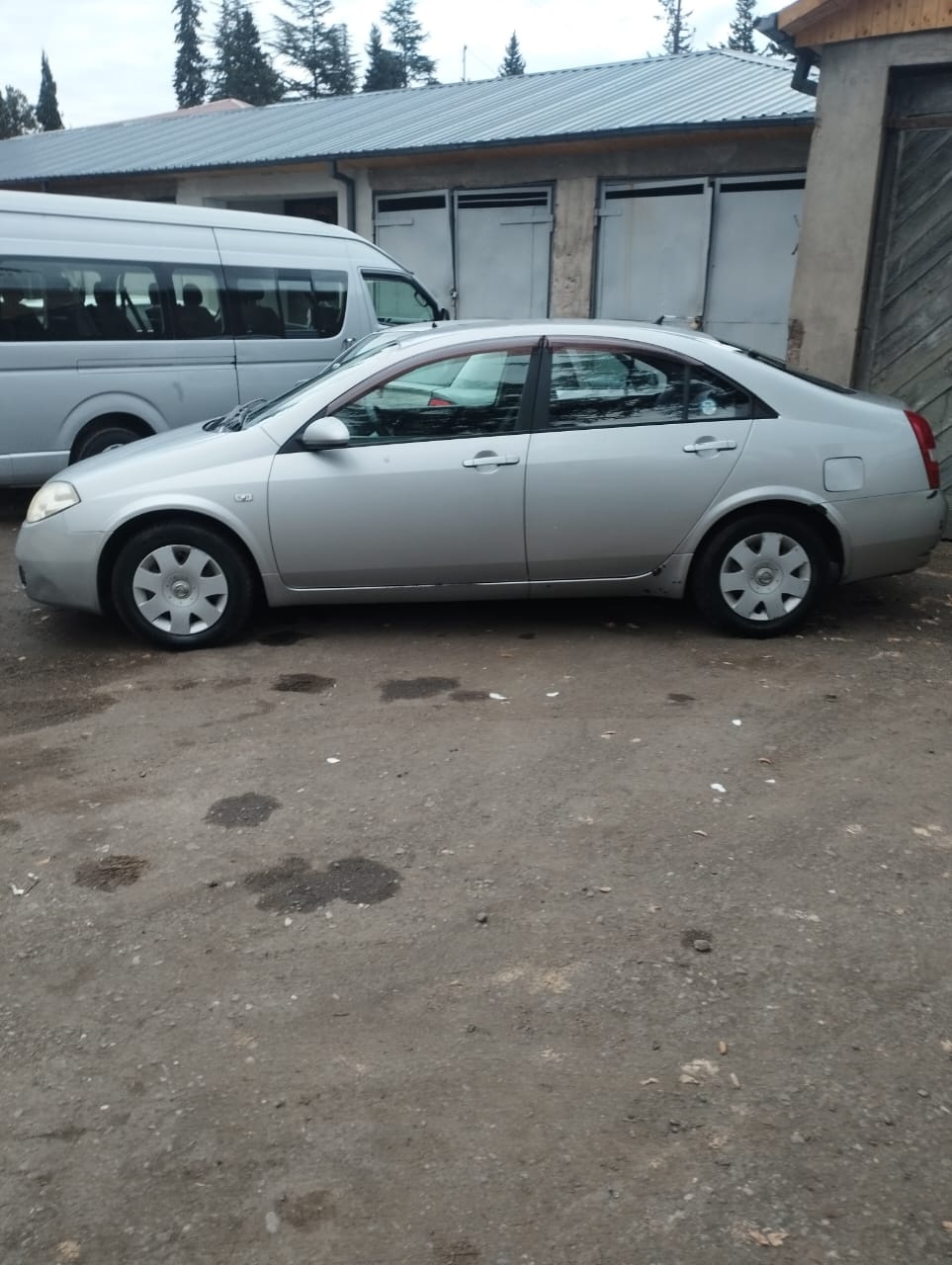 Nissan Primera 2005 — photo 2