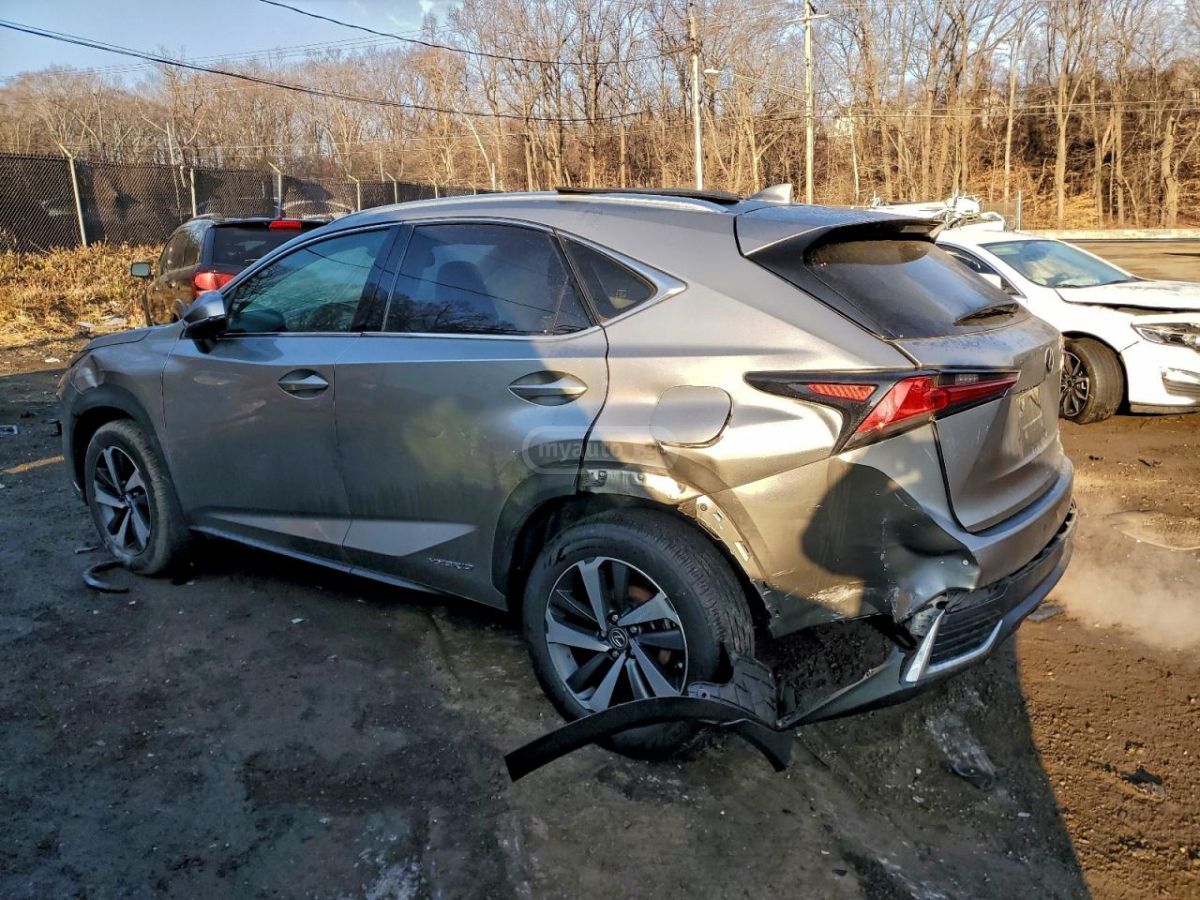 Lexus NX 200 2020 — photo 2