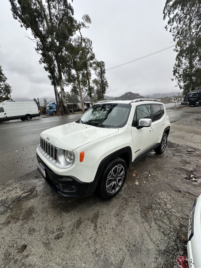 Jeep Renegade 2015 — photo 2