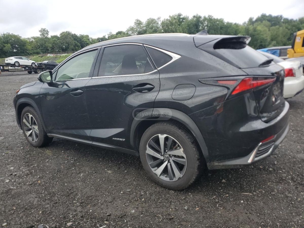 Lexus NX 200 2020 — photo 2