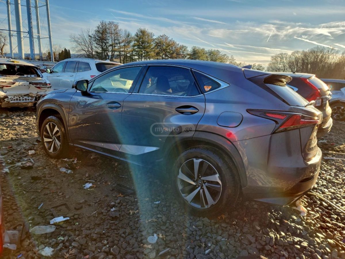 Lexus NX 300 2018 — photo 2