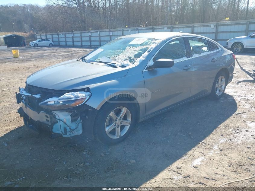 Chevrolet Malibu 2023 — photo 2