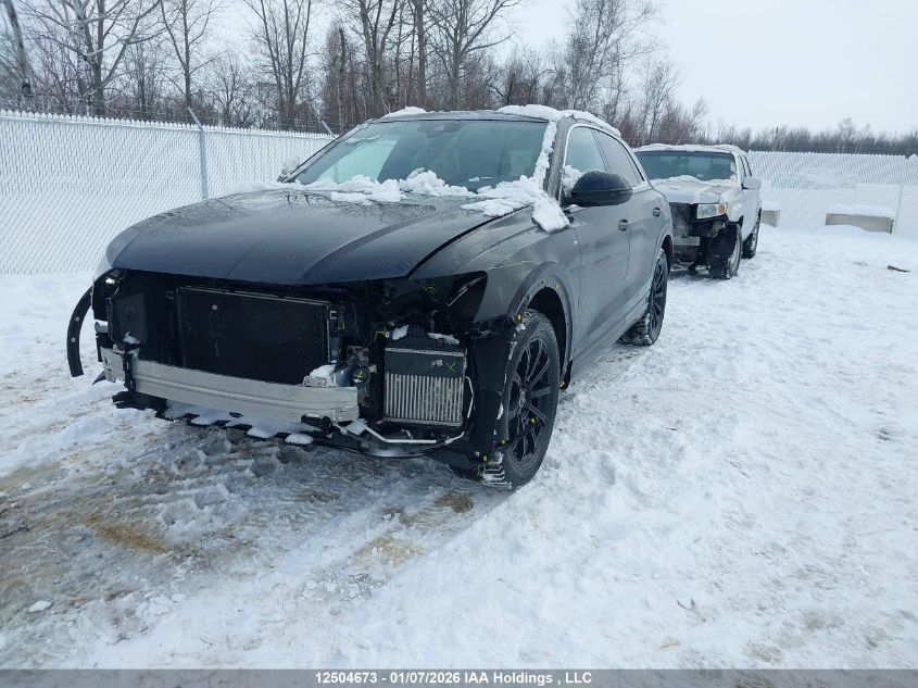 Audi Q8 2021 — photo 2
