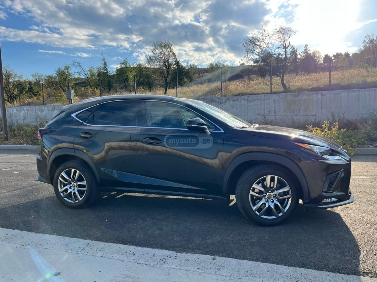 Lexus NX 300 2018 — photo 2