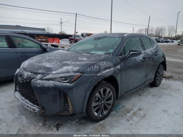 Lexus UX 250 h 2022 — photo 2