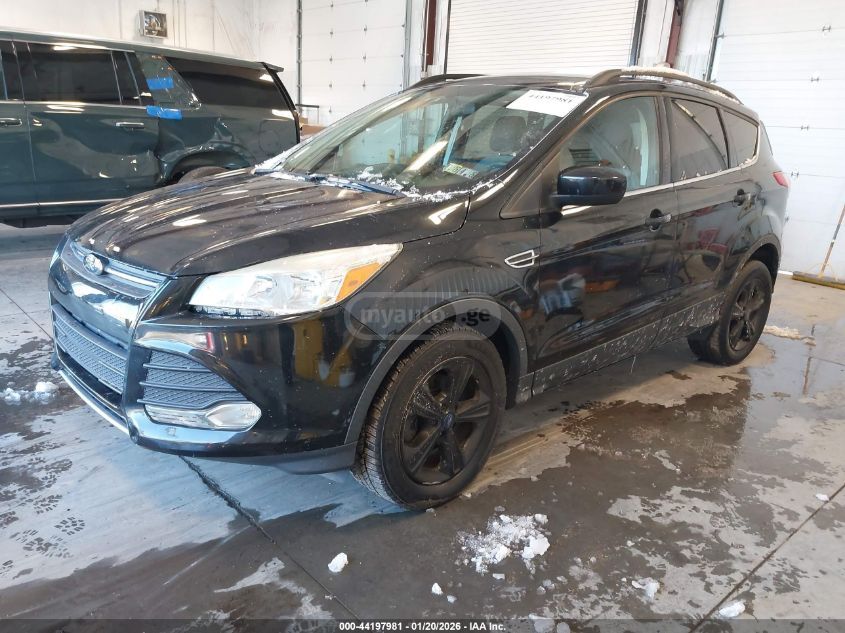 Ford Escape 2015 — photo 2