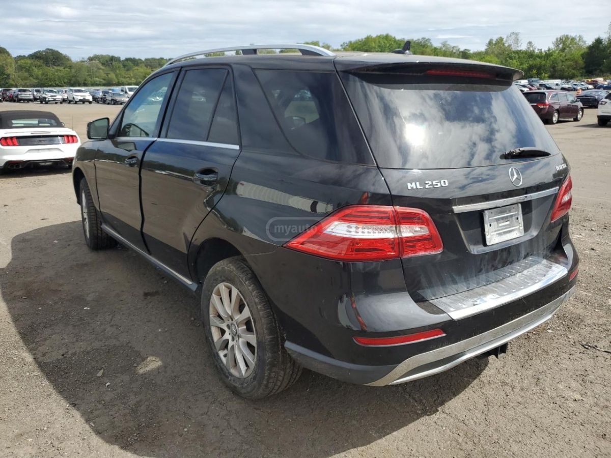 Mercedes-Benz ML 250 2015 — photo 2