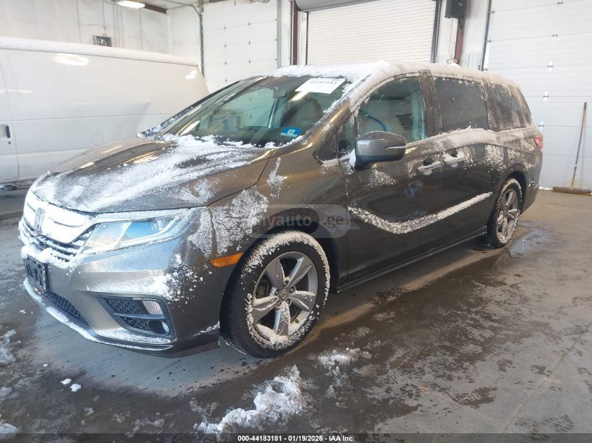 Honda Odyssey 2020 — photo 2