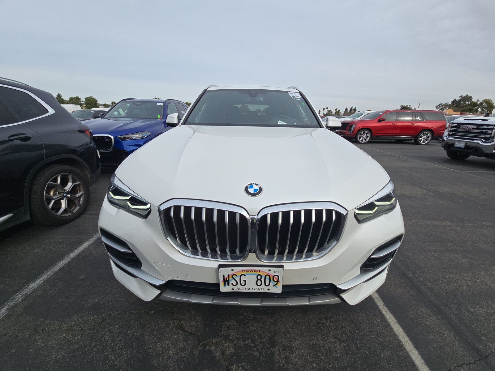 BMW X5 2023 — photo 2