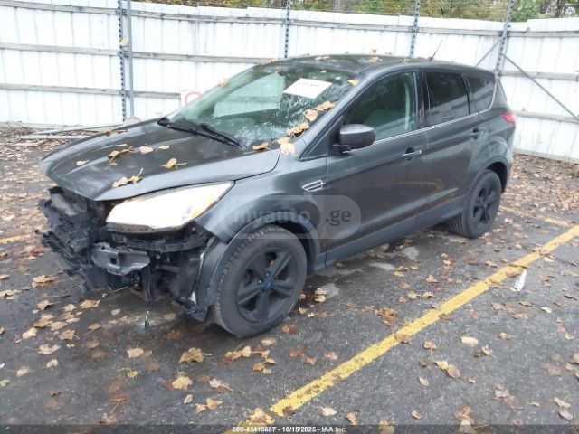 Ford Escape 2014 — photo 2