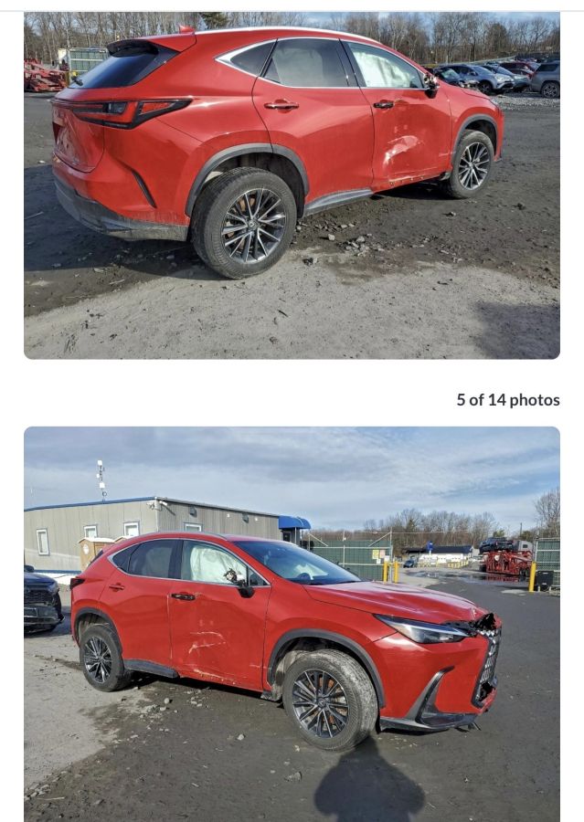 Lexus NX 350 2024 — photo 2