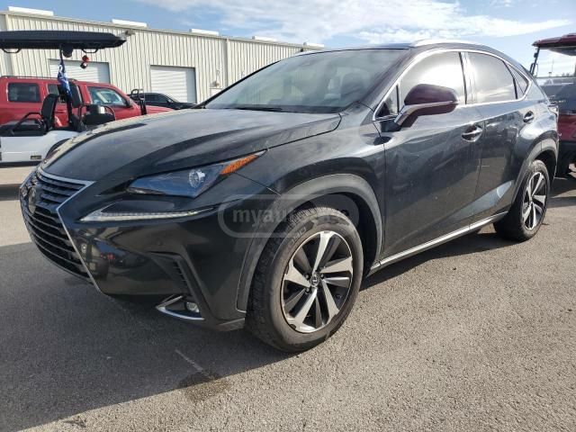Lexus NX 300