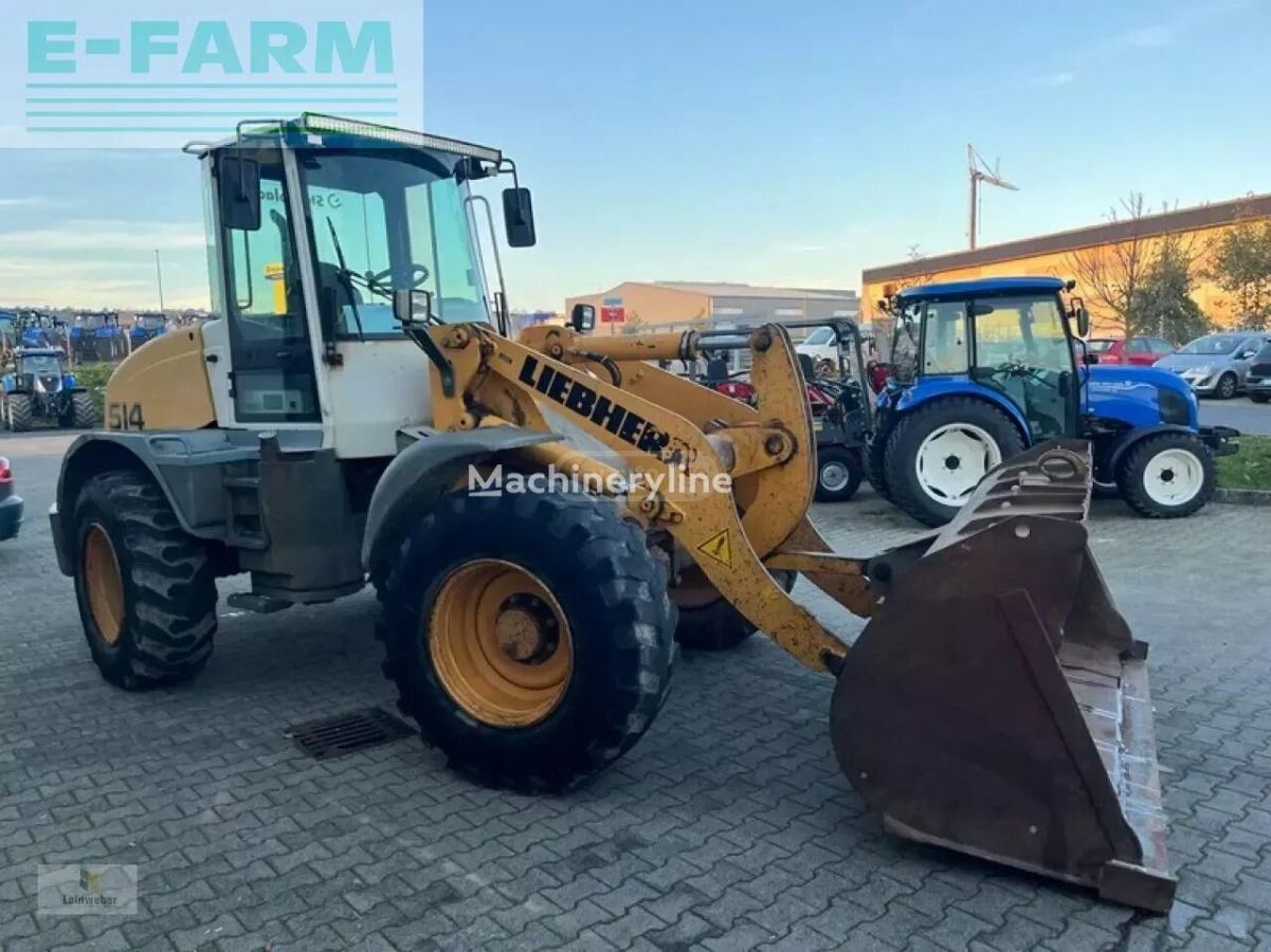 Liebherr 4829 2007 — photo 2