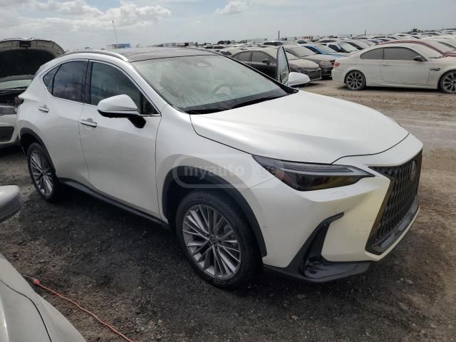 Lexus NX 350 2022 — photo 2