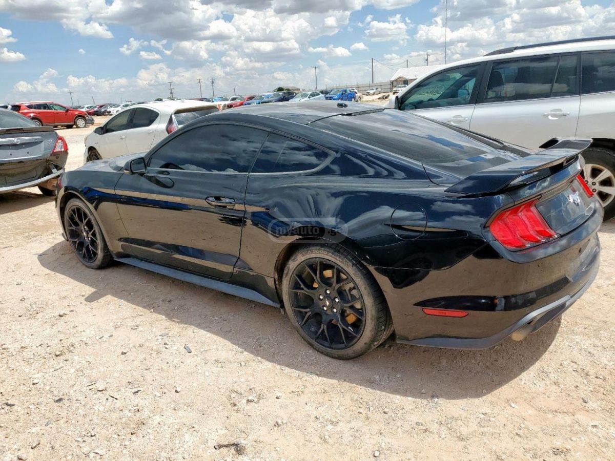 Ford Mustang 2019 — photo 2