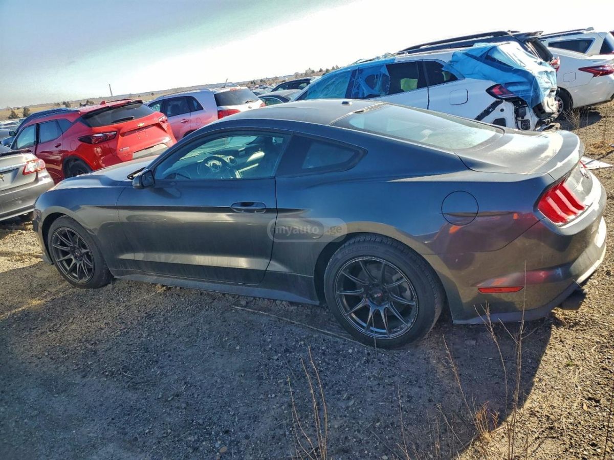 Ford Mustang 2019 — photo 2