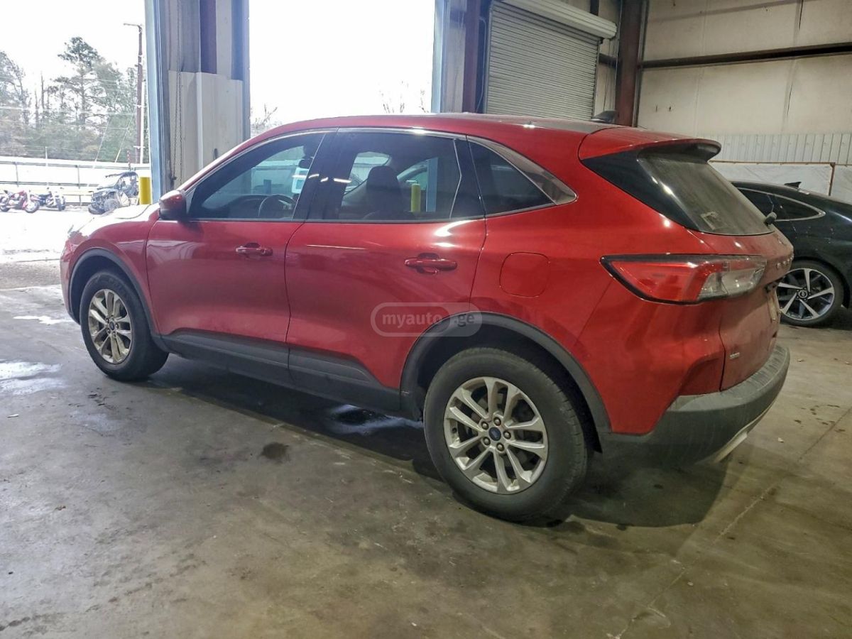 Ford Escape 2020 — photo 2