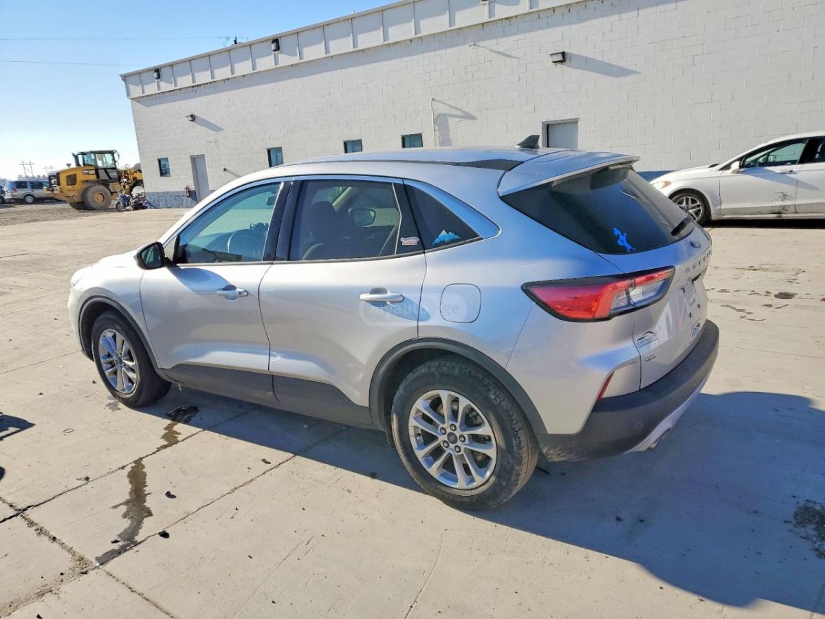 Ford Escape 2020 — photo 2