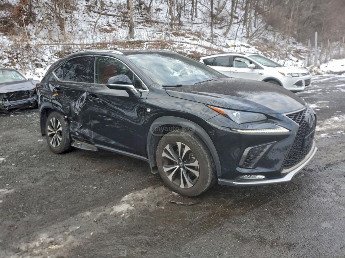 Lexus NX 300 2020 — photo 2