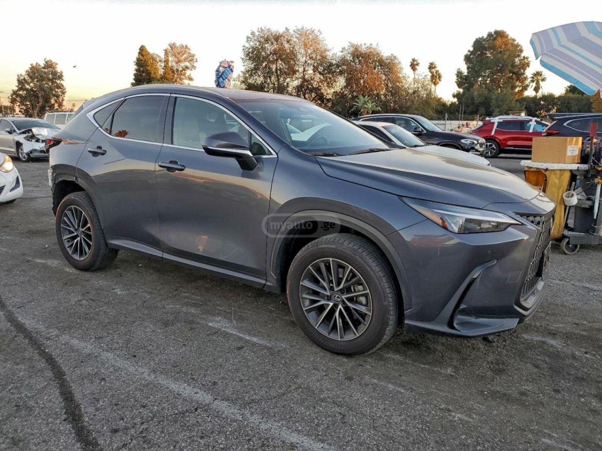 Lexus NX 350 2024 — photo 2