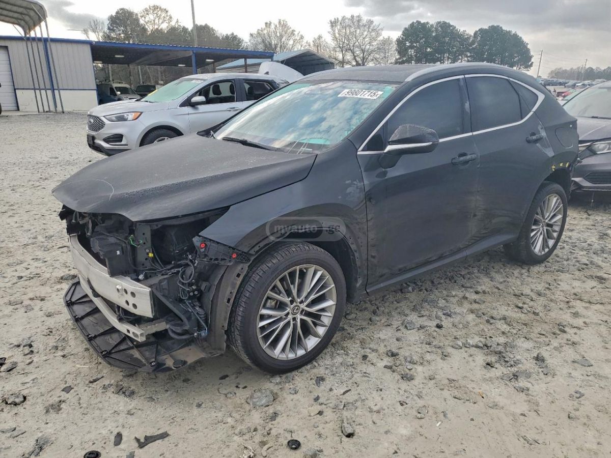 Lexus NX 350 2023 — photo 2