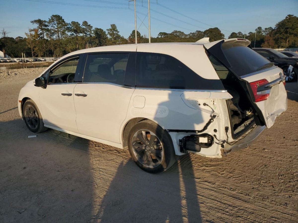 Honda Odyssey 2024 — photo 2