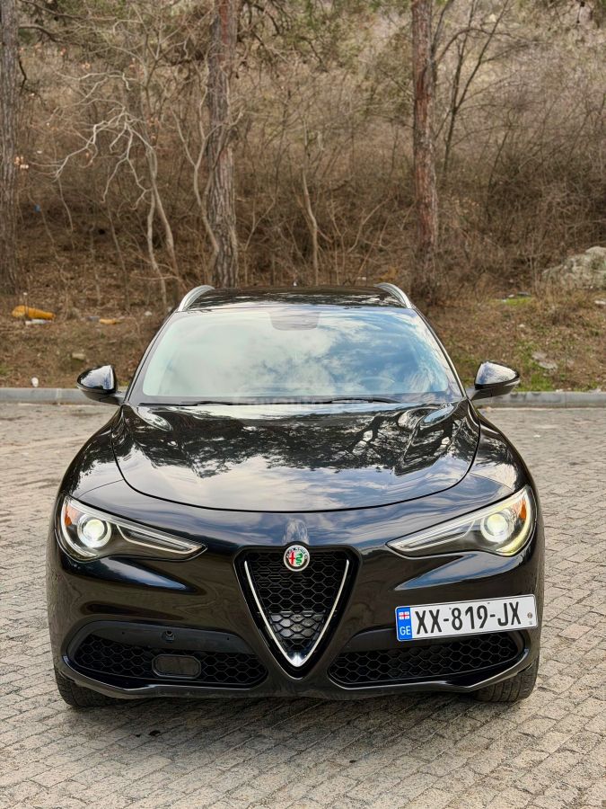 Alfa Romeo Stelvio 2019 — photo 2